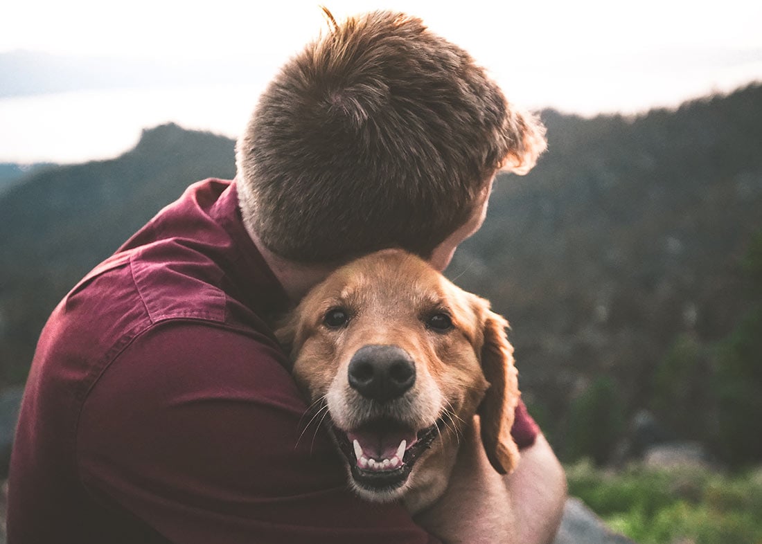 Petsome Group Opens New Distribution Hub in Thailand