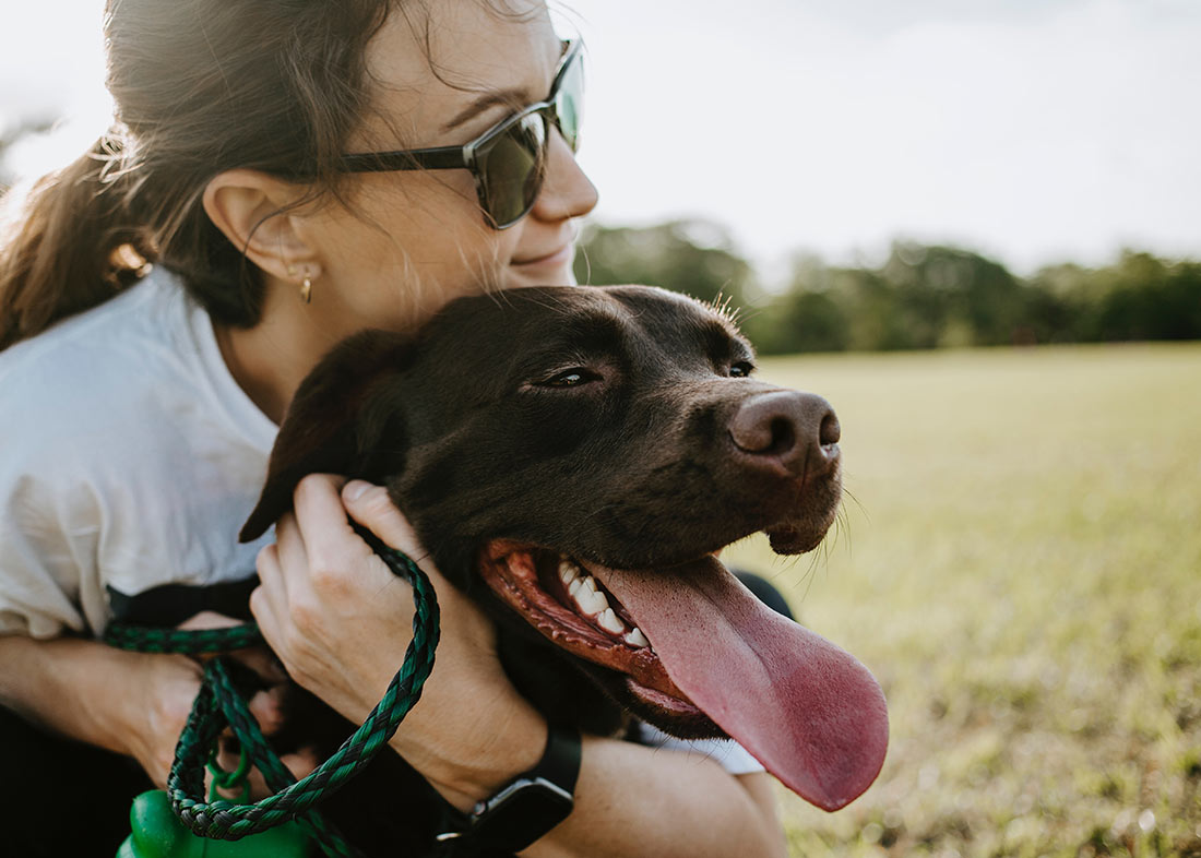 Petsome Adds Two New Treat Flavours to the Lineup